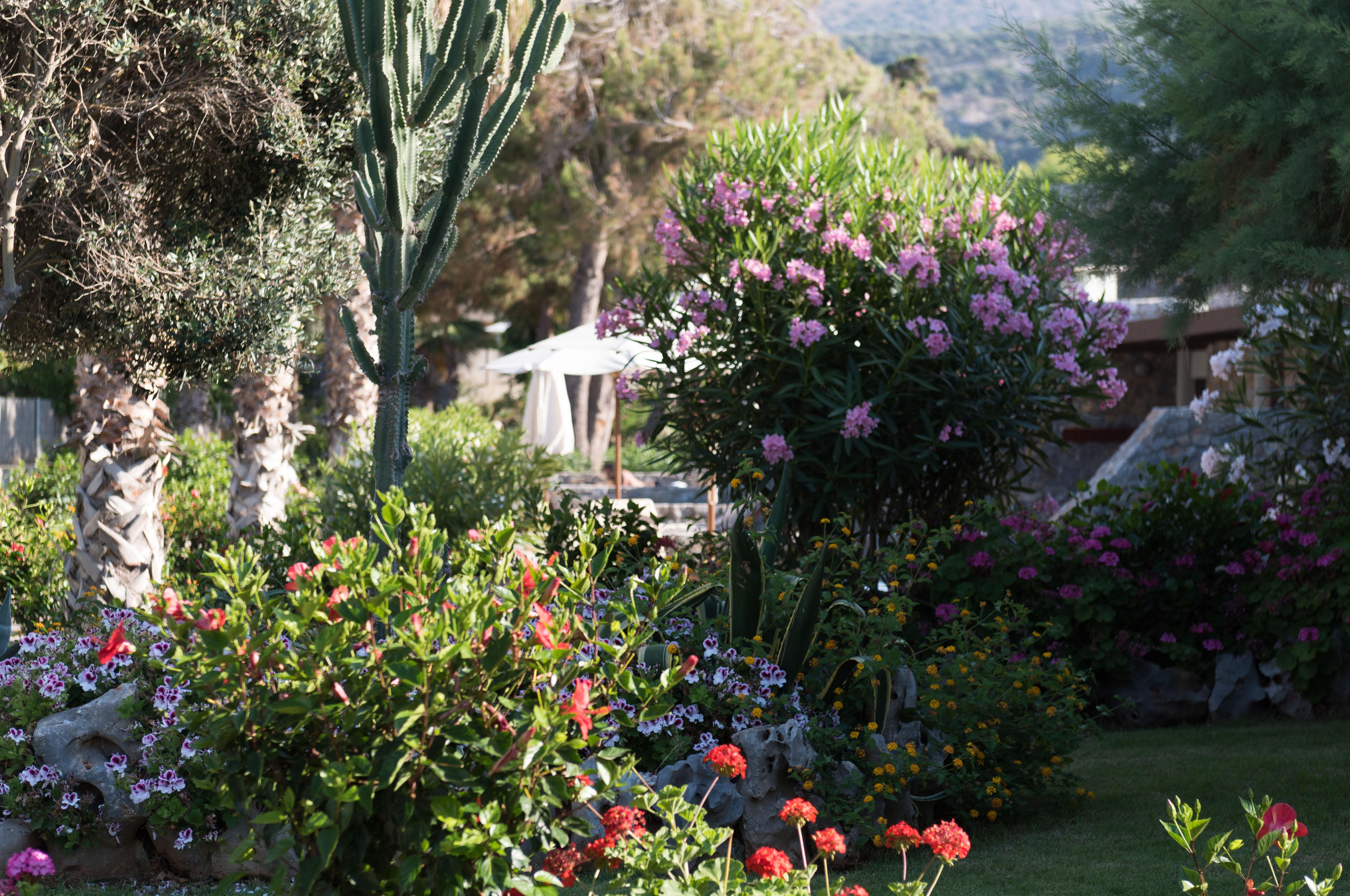 Ikaros Beach, Luxury Resort & Spa - Adults Only Malia Eksteriør bilde